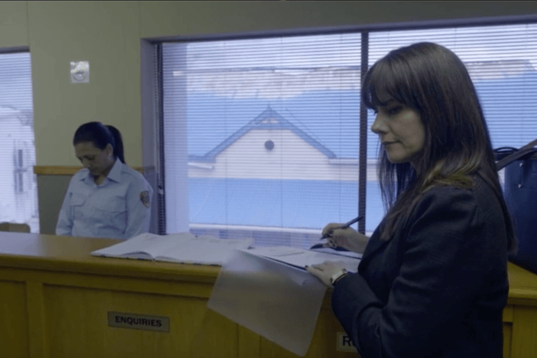 Advokaat Nicki Swanepoel – Die Byl 2