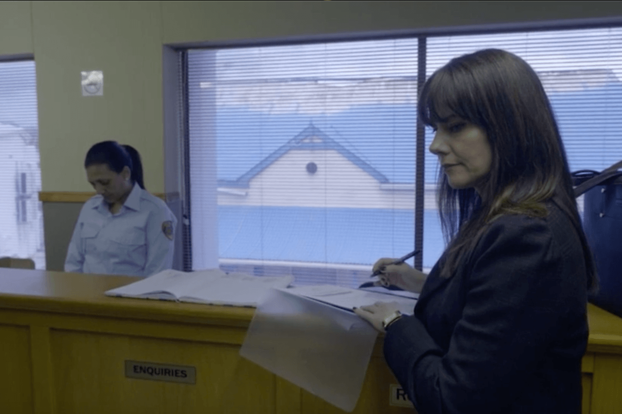 Advokaat Nicki Swanepoel – Die Byl 2