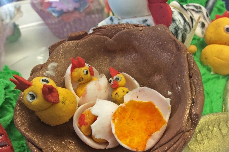Kokkedoortjie-oudisies: Selfie-kolwyntjies en sonkant-eiers